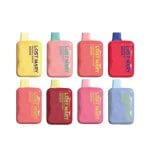 Lost Mary 5000 Puffs