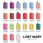 Lost Mary x Elf Bar 5000 Puffs Vape UAE