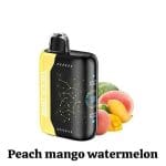 Buy GEEK BAR PULSE X 250000 Puffs Price in Dubai PEACH MANGO WATERMELON