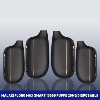 Flanq 10000 Puffs 20mg Nicotine Disposable Vape UAE