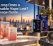 Disposable Vape Dubai